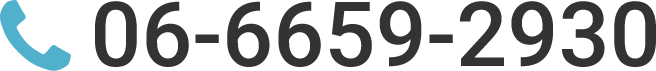 06-6659-2930